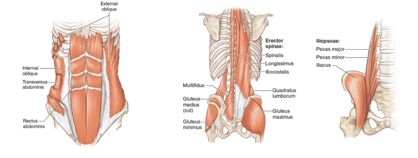 3-entrenamientos-de-core-para-que-los-atletas-mejoren-la-fuerza-farmer-carry