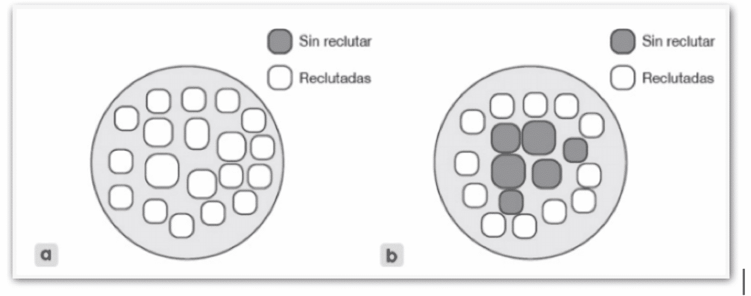 Entrenamiento de fuerza para atletas: 5 consejos profesionales para mejorar tu fuerza.