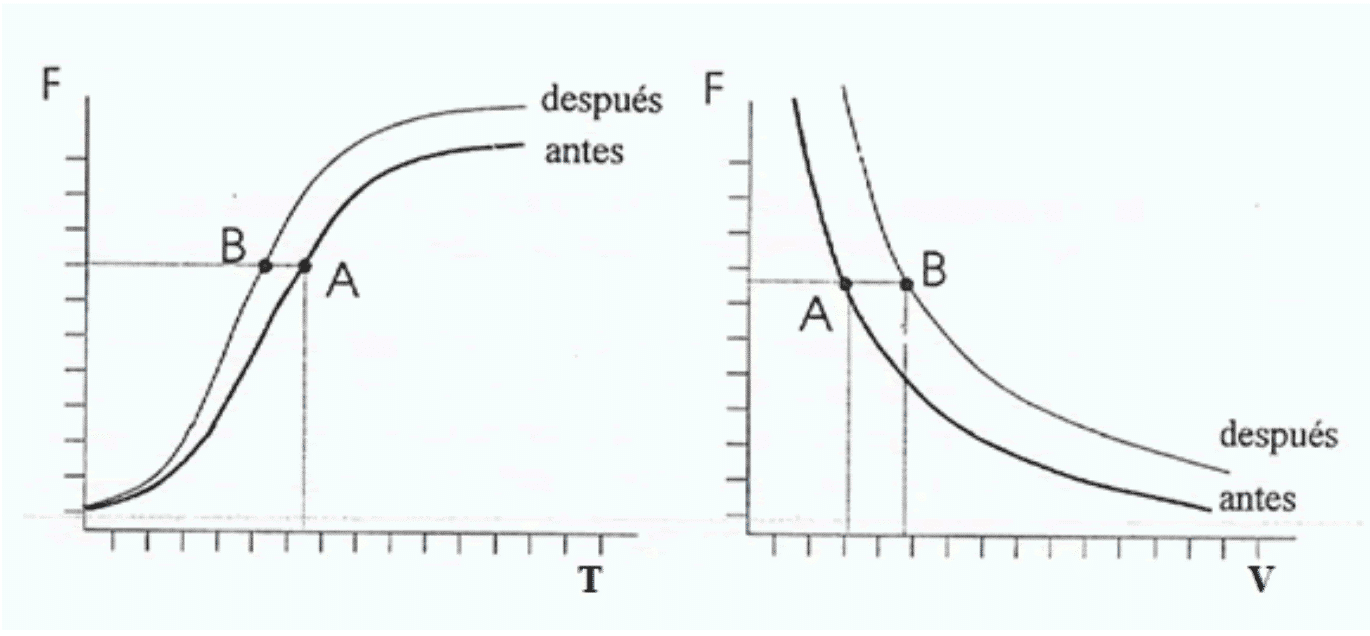 zonas-velocidad-especificas