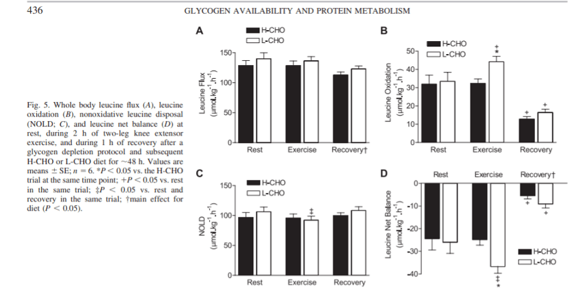 cuanta-proteina-necesita-un-deportista