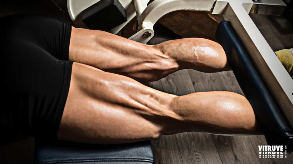 glutes and hamstrings workout