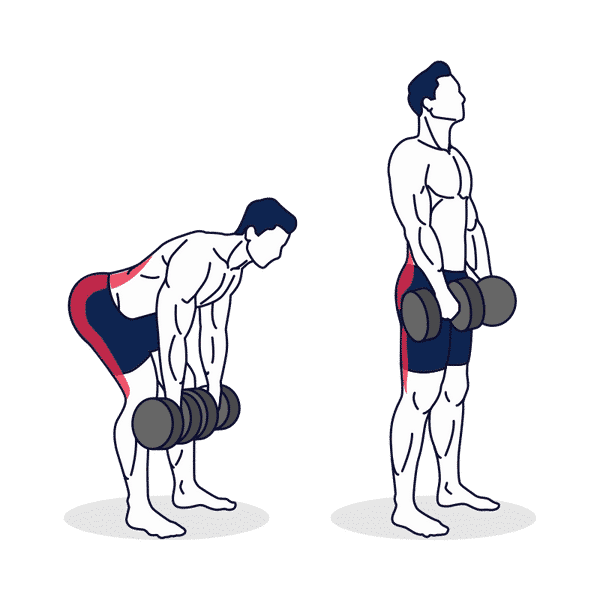 Romanian deadlift (straight legs) with dumbbells – Simply Fitness
