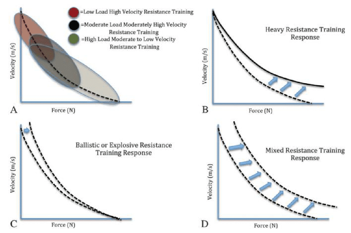Diagrama Descripción generada automáticamente