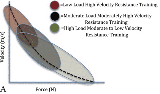 programa de entrenamiento de fuerza explosiva
