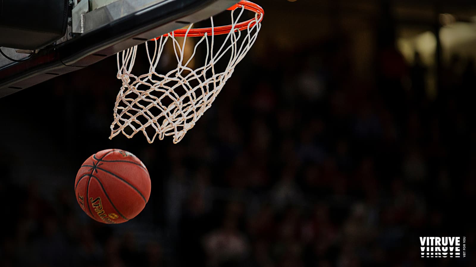 Entrenamiento de Rendimiento en Baloncesto: Fuerza, Velocidad y Agilidad