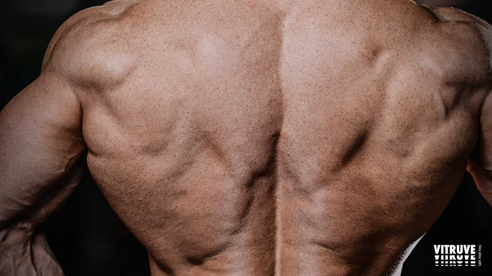 Pon A Prueba tu Fuerza Con Ejercicios De Espalda