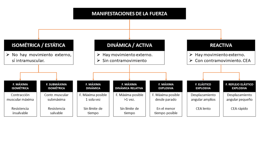 Qué es realmente la fuerza explosiva